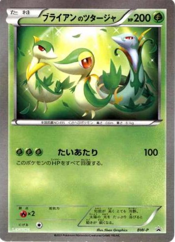 _____'s Snivy - 40