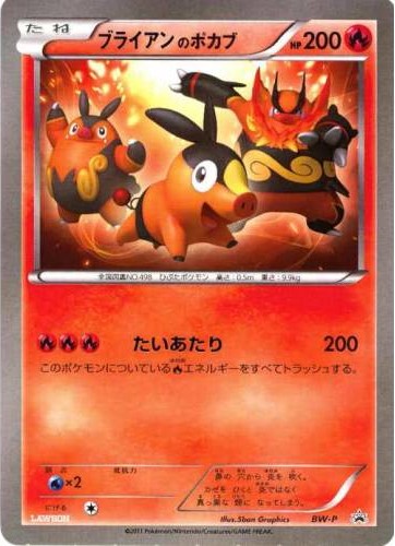 _____'s Tepig - 41