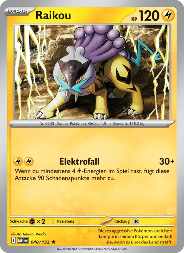 Raikou - 048