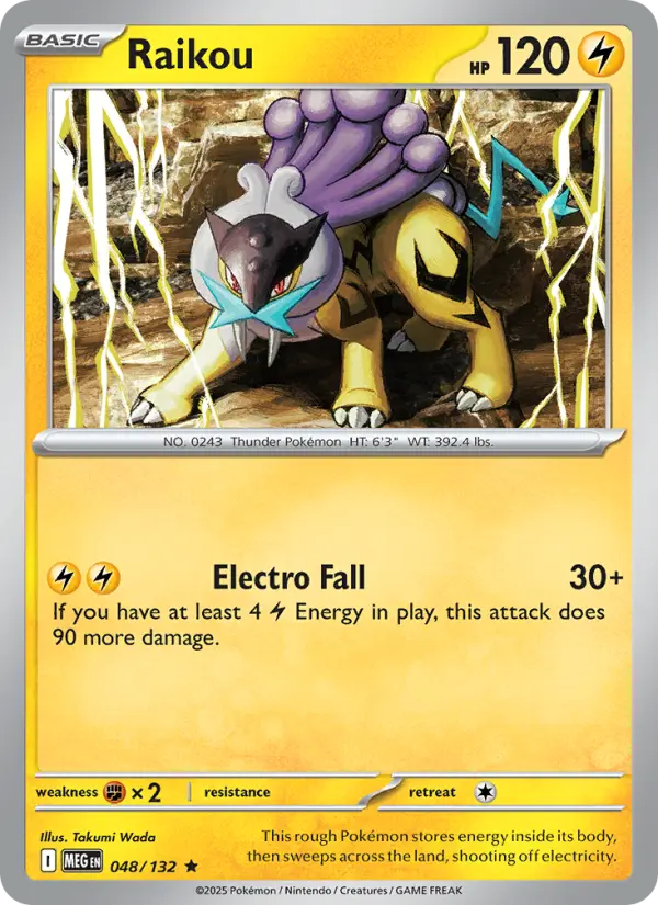 Raikou - 048