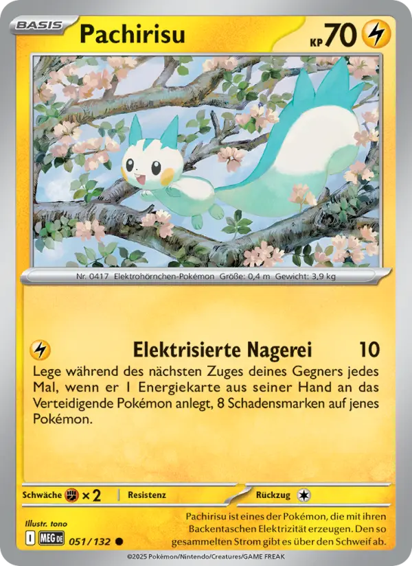 Pachirisu - 051