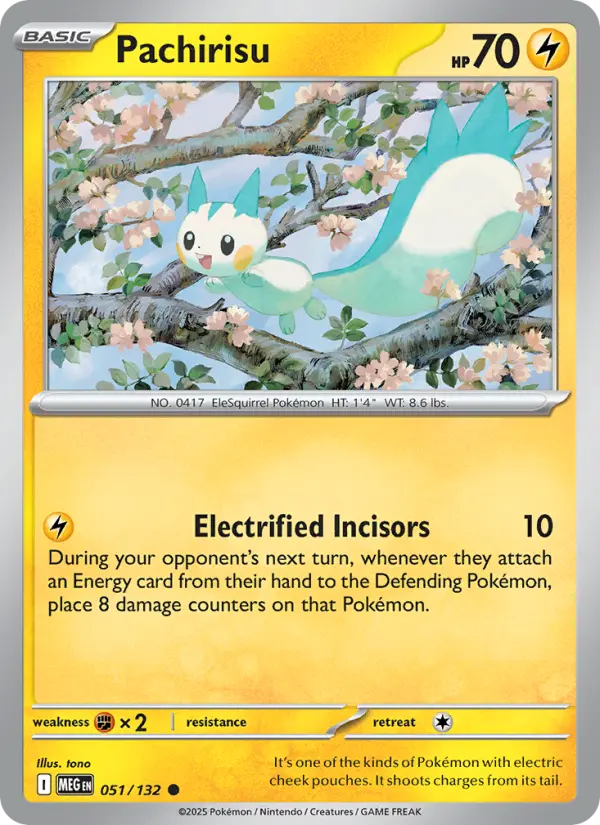 Pachirisu - 051