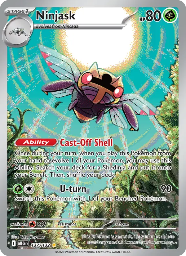 Ninjask - 137