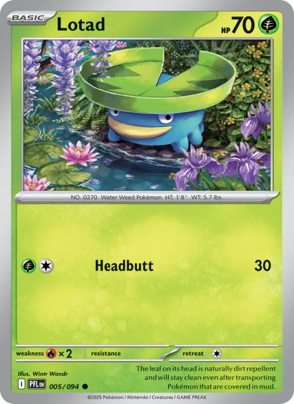 Lotad - 005