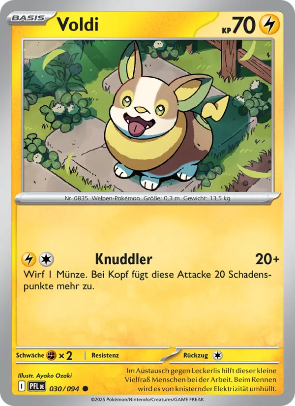 Voldi - 030