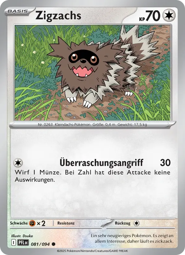 Zigzachs - 081