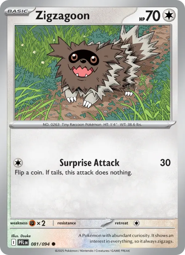 Zigzagoon - 081