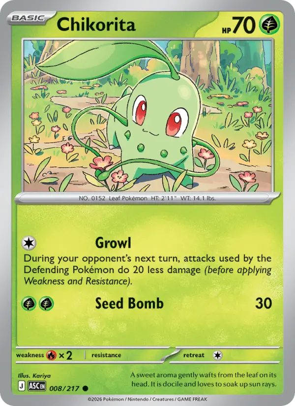 Chikorita - 008