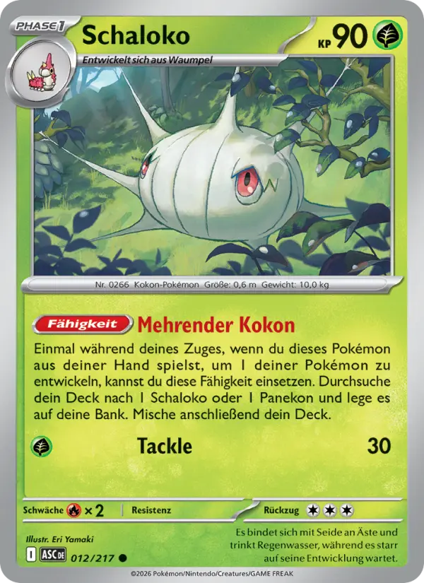 Schaloko - 012