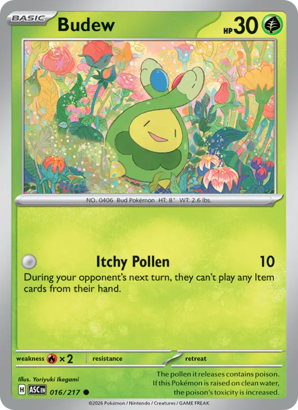 Budew - 016