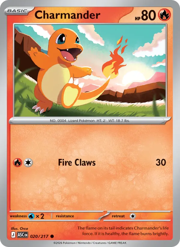 Charmander - 020