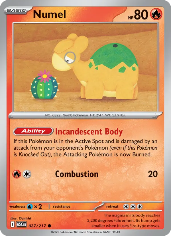 Numel - 027