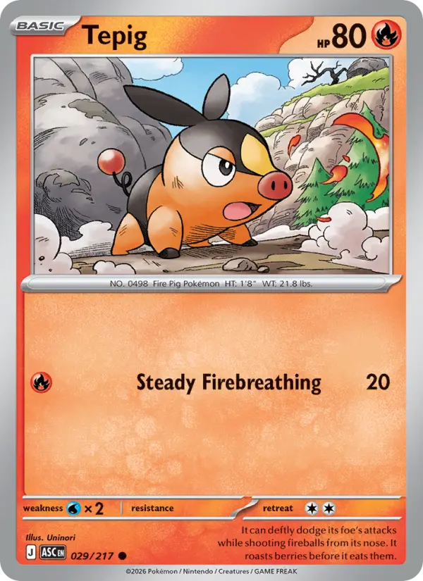 Tepig - 029