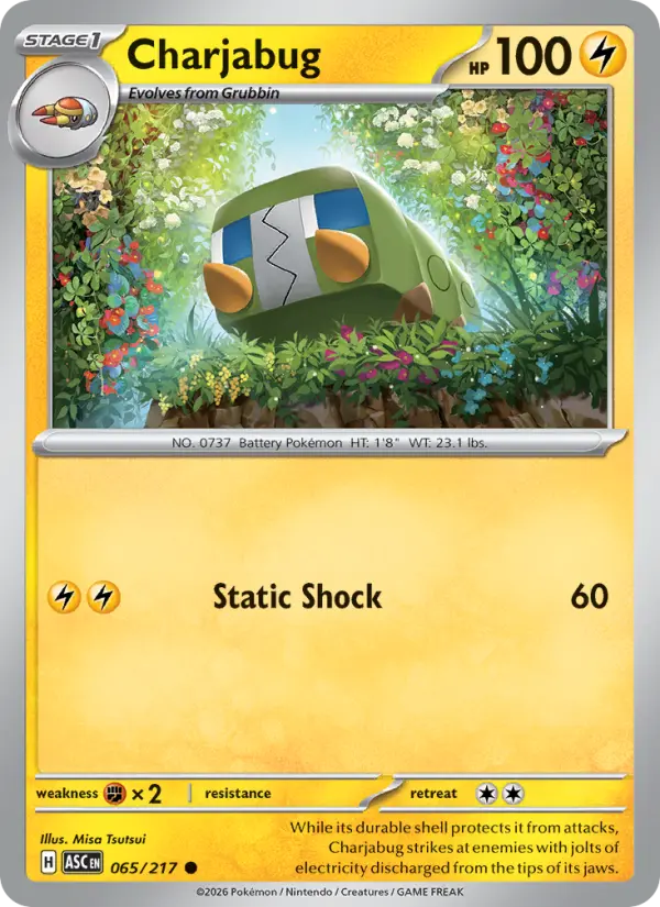 Charjabug - 065