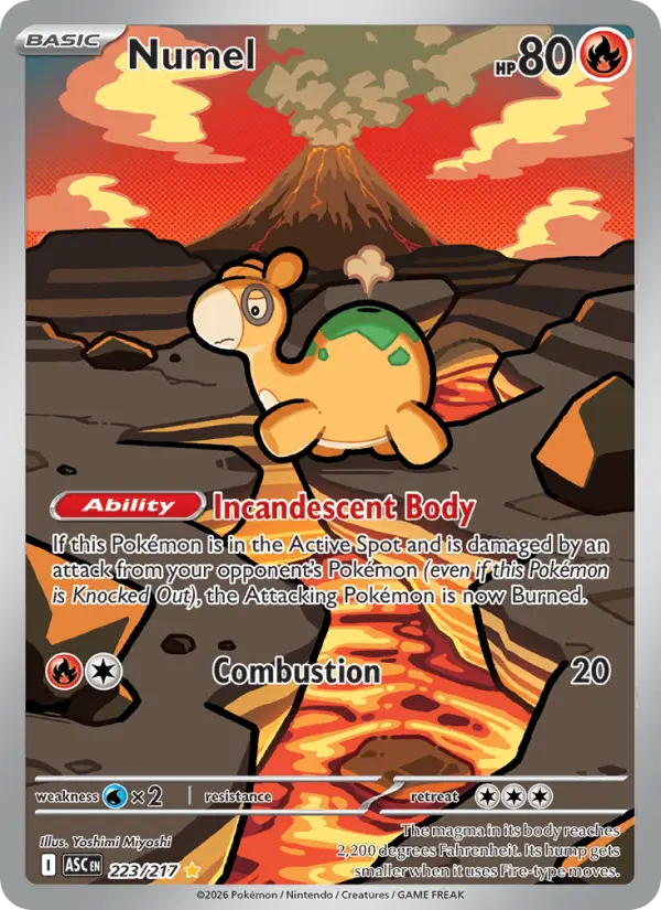 Numel - 223