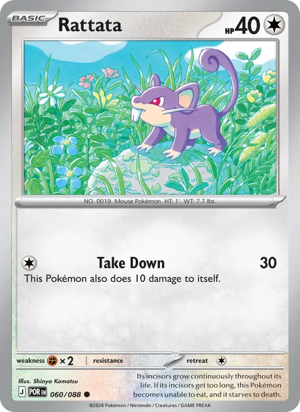 Rattata - 060