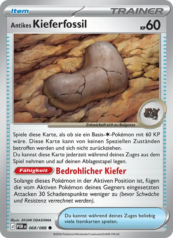 Antikes Kieferfossil - 068