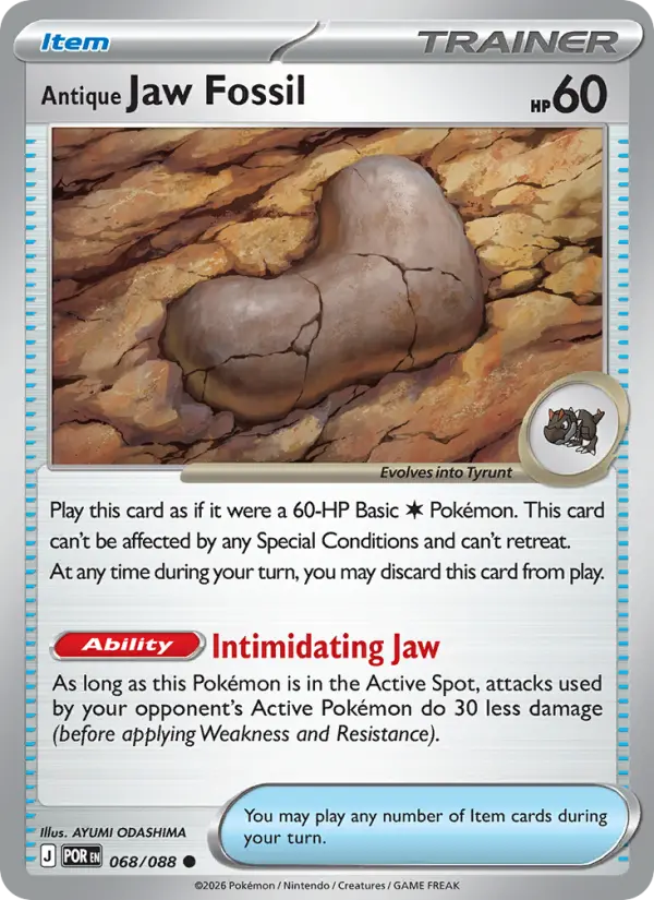 Antique Jaw Fossil - 068