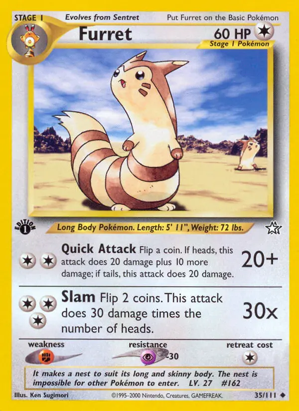 Furret - 35
