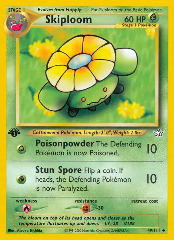Skiploom - 49