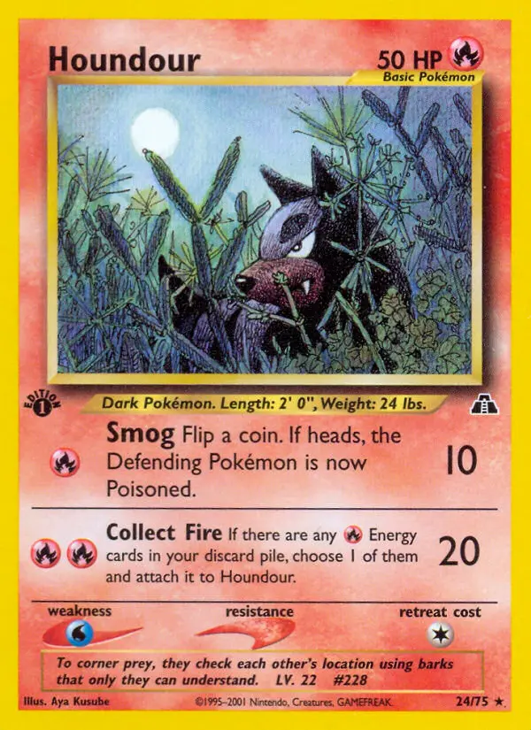 Houndour - 24