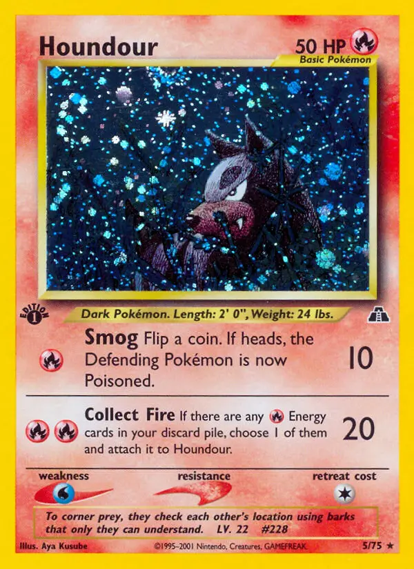 Houndour - 5