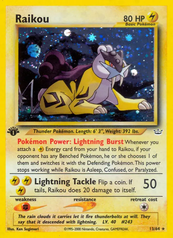 Raikou - 13
