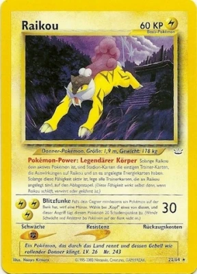Raikou - 22