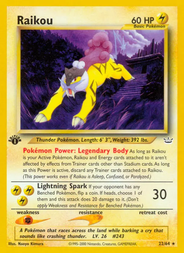 Raikou - 22