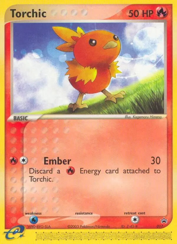 Torchic - 17