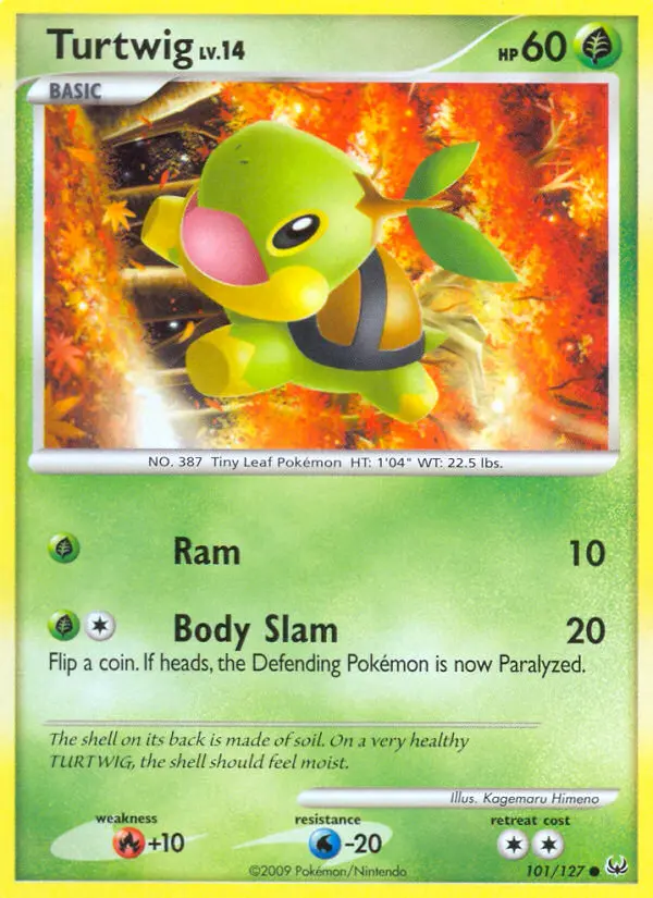 Turtwig - 101