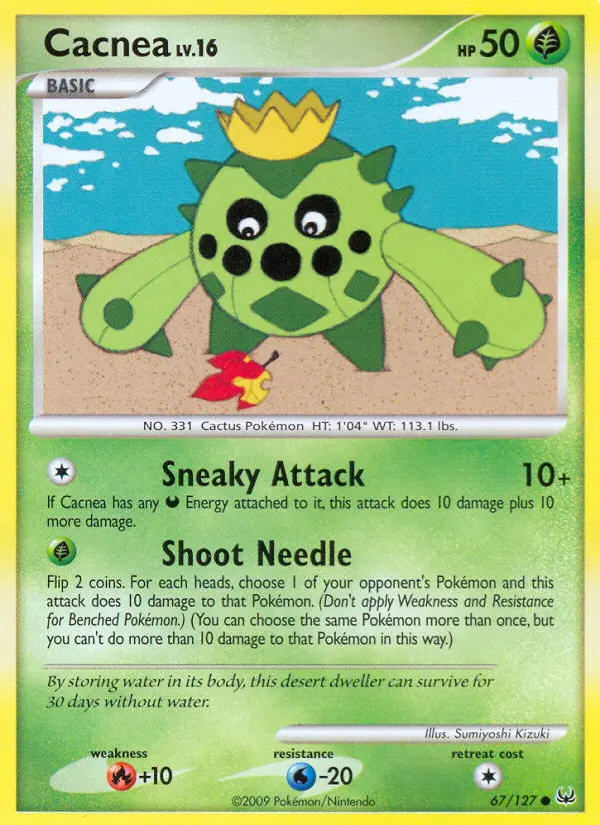 Cacnea - 67