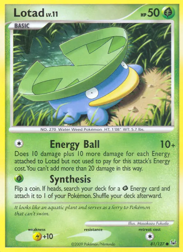 Lotad - 81