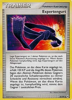 Expertengurt - 87
