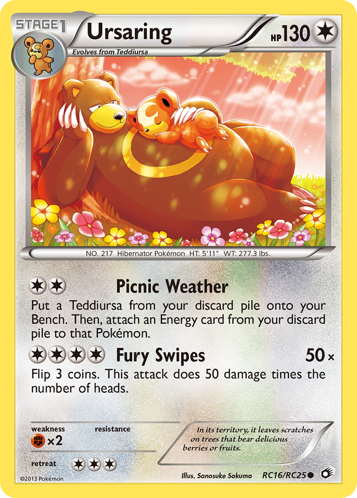 Ursaring - RC16