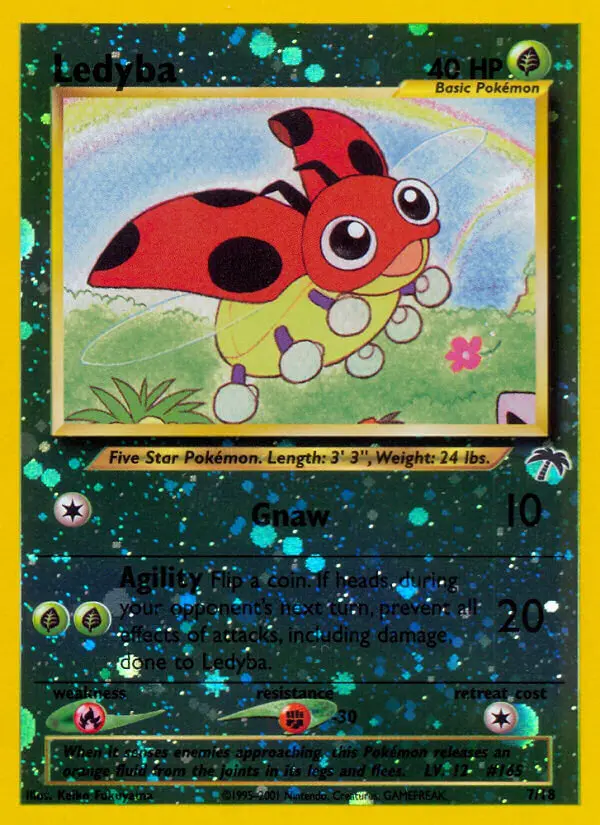 Ledyba - 7