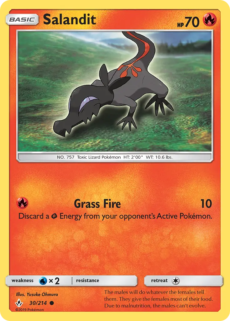 Salandit - 30