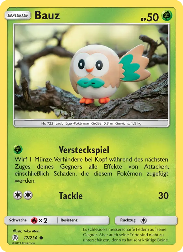 Bauz - 17