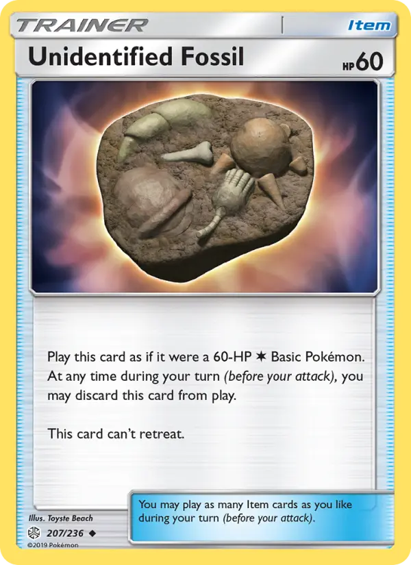 Unidentified Fossil - 207