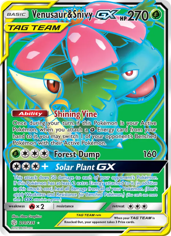 Venusaur & Snivy GX - 210