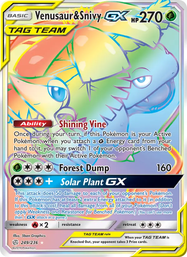 Venusaur & Snivy GX - 249