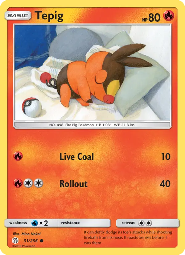 Tepig - 31