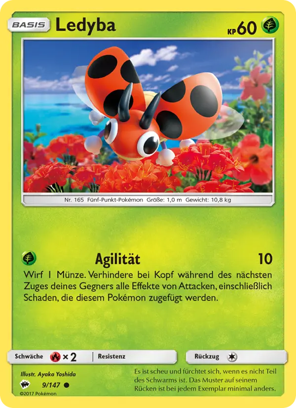 Ledyba - 9