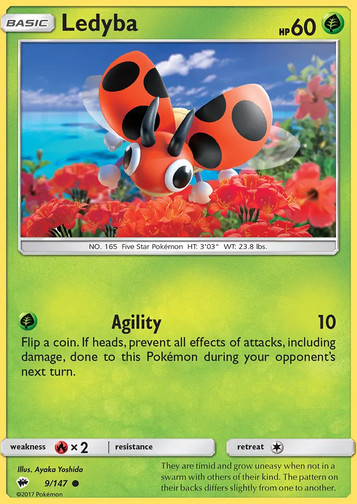 Ledyba - 9