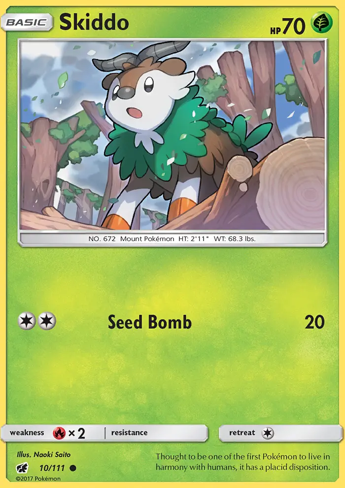 Skiddo - 10