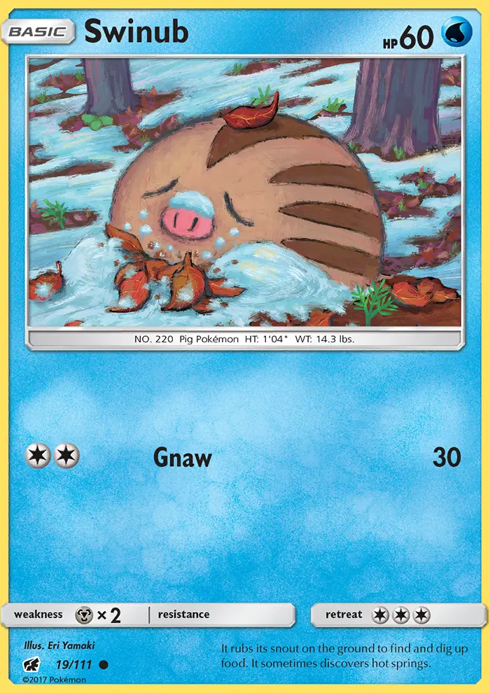 Swinub - 19