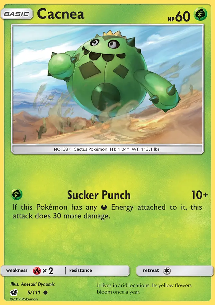 Cacnea - 5