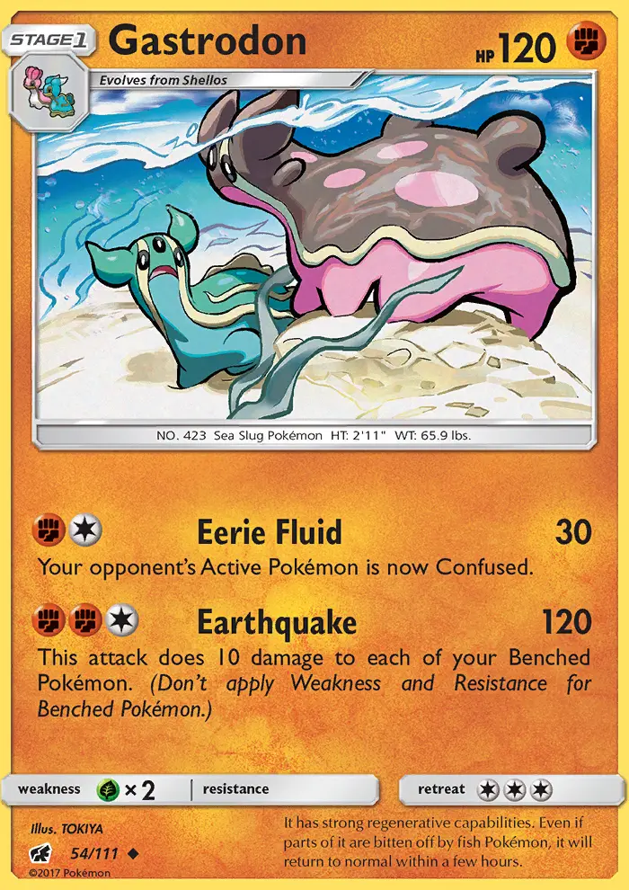 Gastrodon - 54