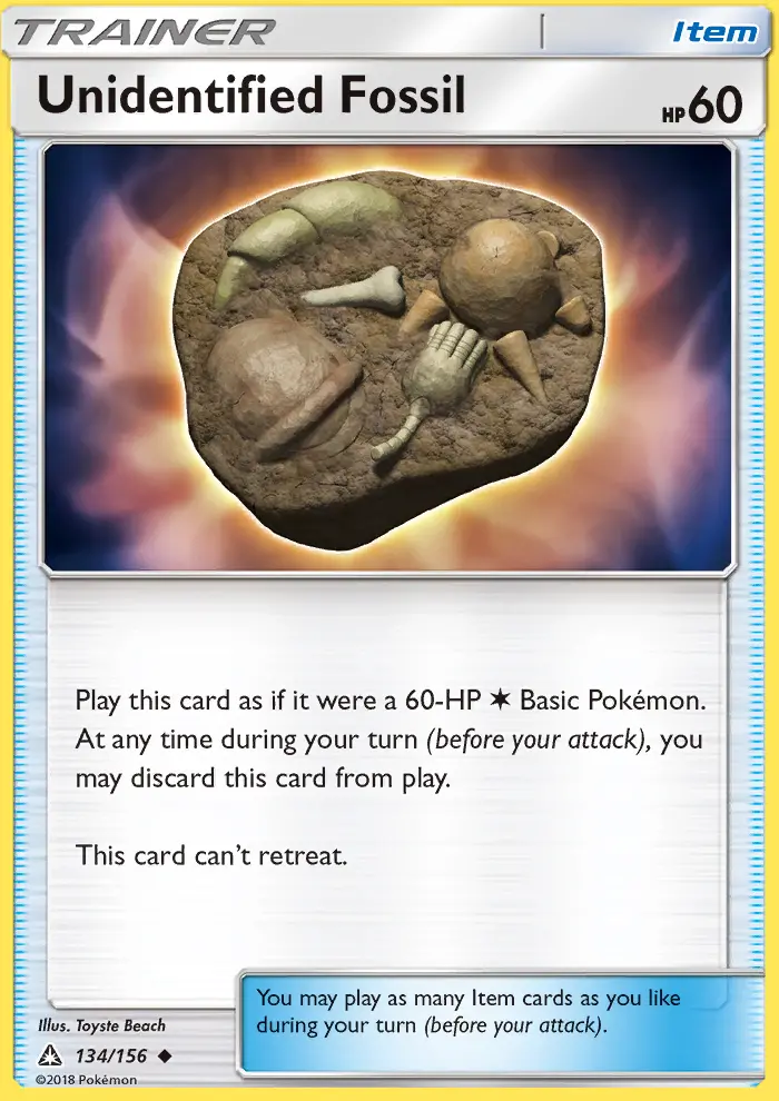 Unidentified Fossil - 134