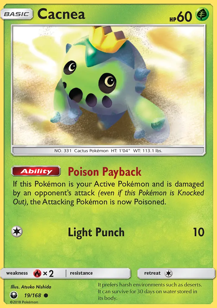 Cacnea - 19